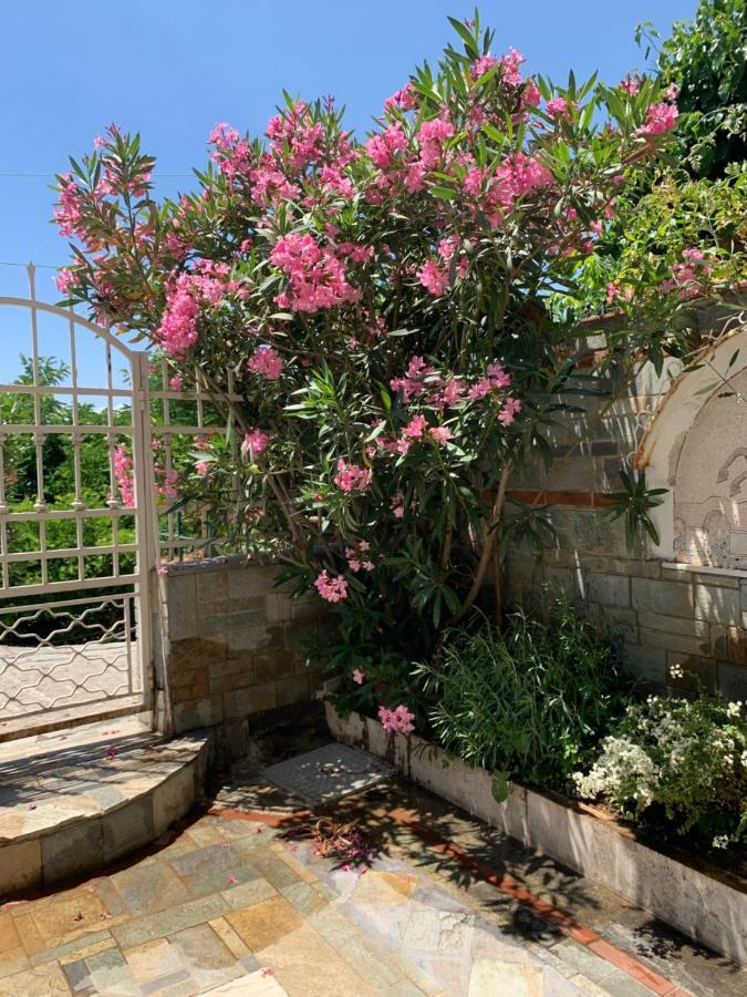 Gemuetliches Appartement In Ano Poli Θεσσαλονίκη Εξωτερικό φωτογραφία