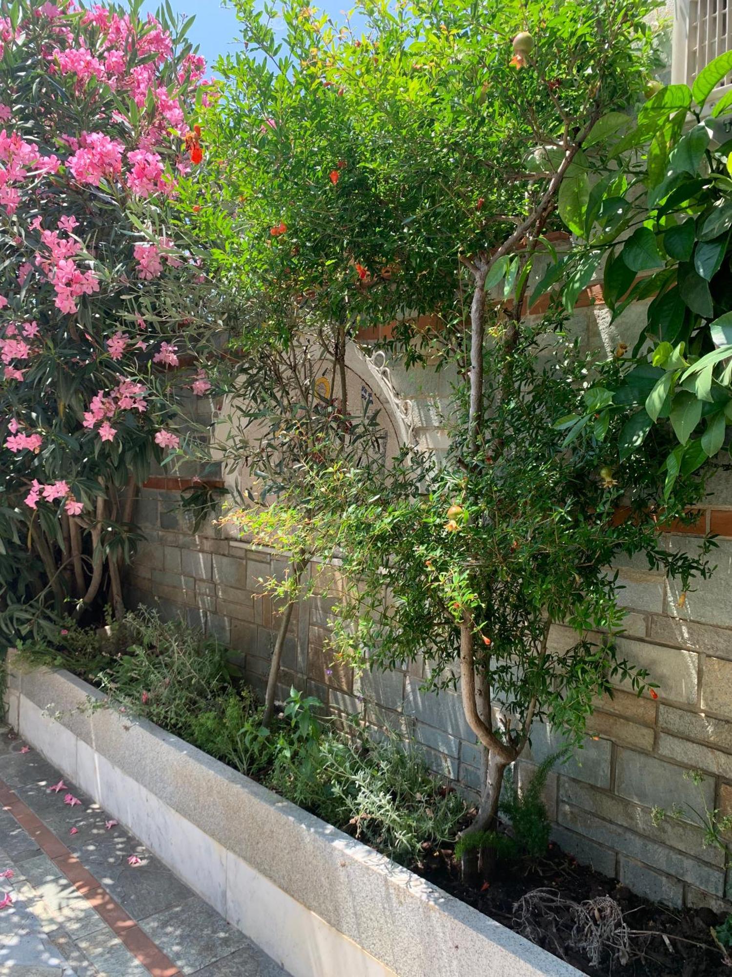 Gemuetliches Appartement In Ano Poli Θεσσαλονίκη Εξωτερικό φωτογραφία