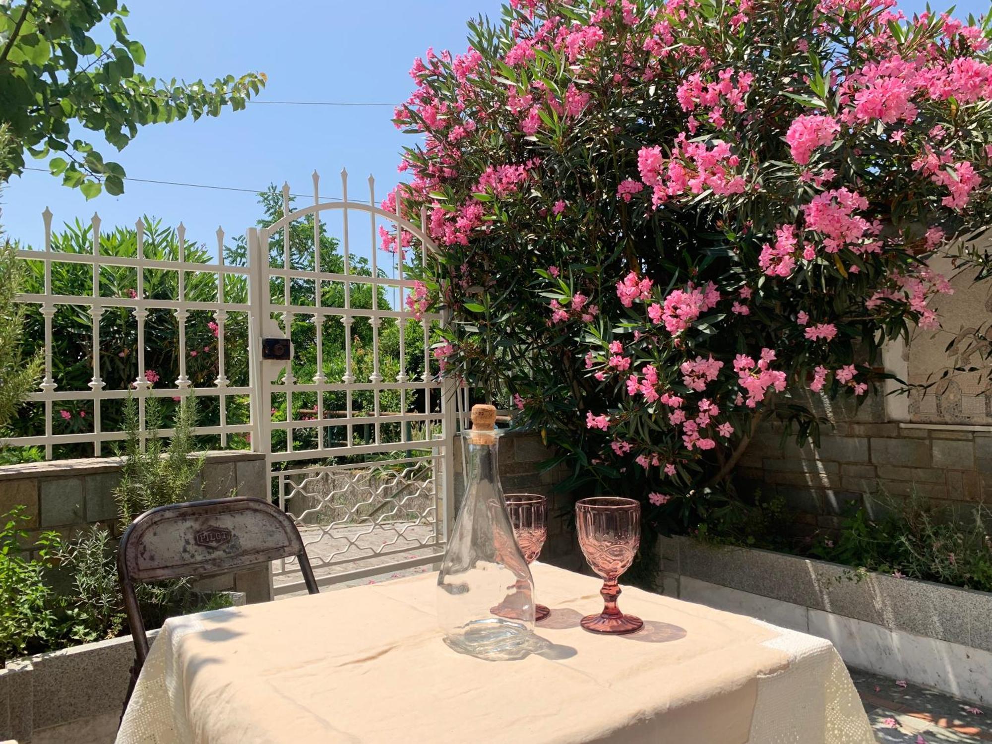 Gemuetliches Appartement In Ano Poli Θεσσαλονίκη Εξωτερικό φωτογραφία