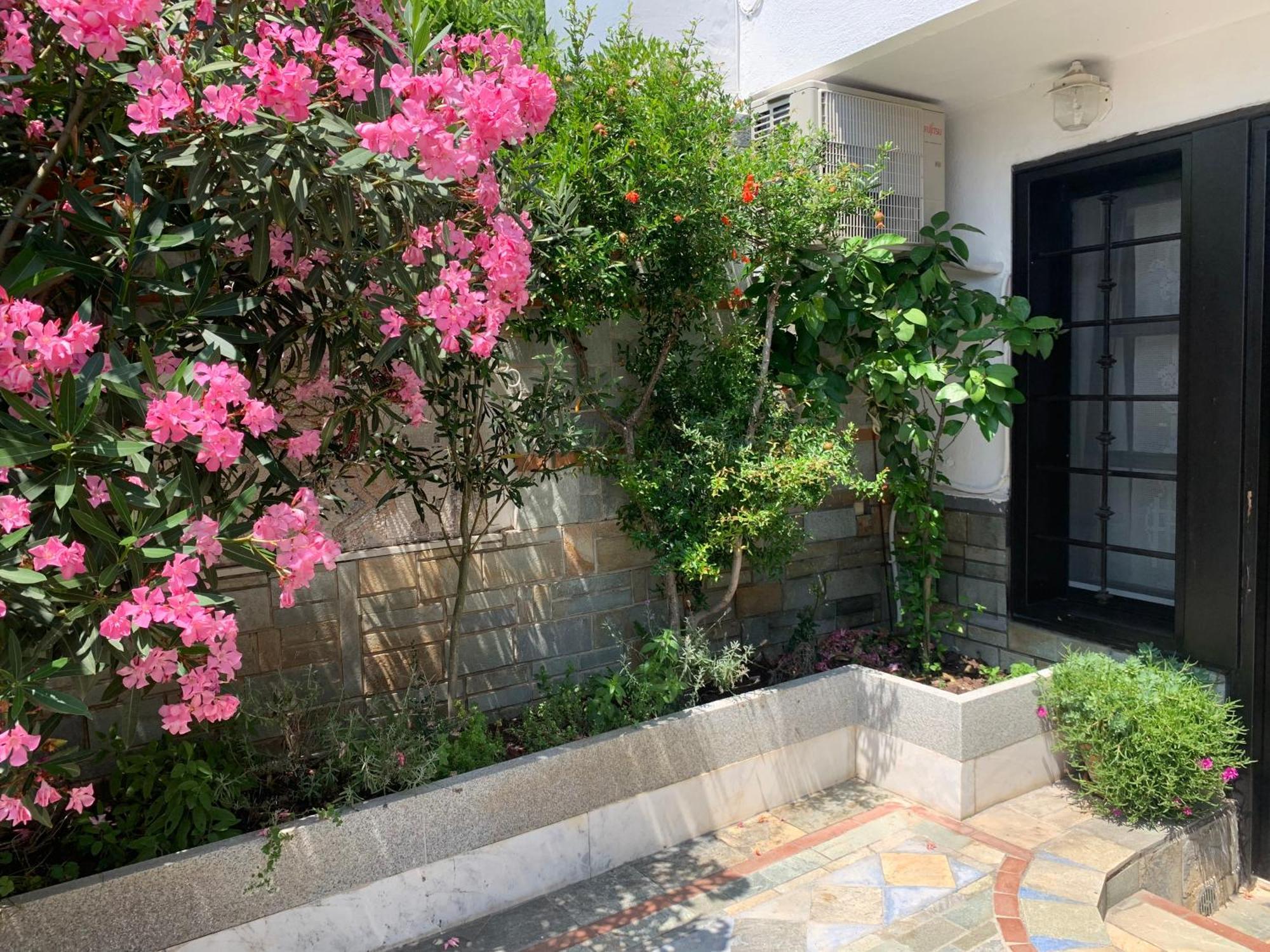Gemuetliches Appartement In Ano Poli Θεσσαλονίκη Εξωτερικό φωτογραφία